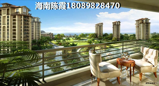 半岛阳光特价房大全，