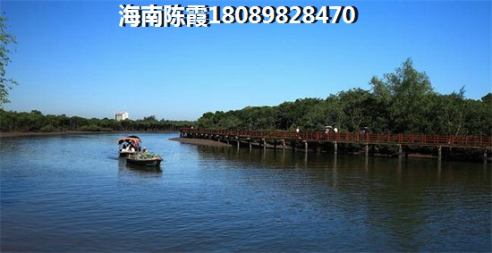 临高XG政策