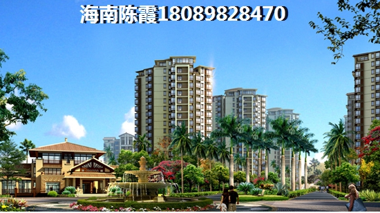 临高丰绅未来城