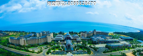 半岛阳光真实感受