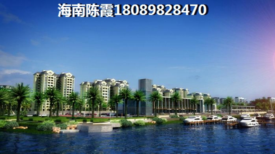 临高XG政策