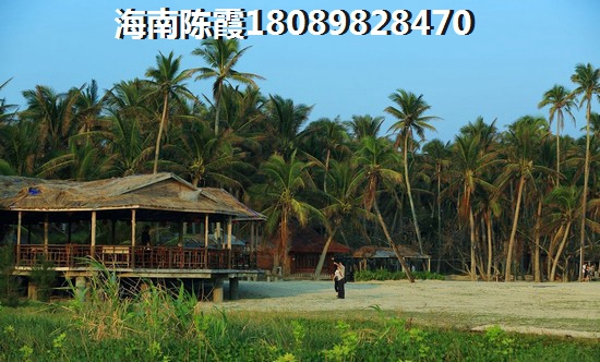 临澜湾海豚花园海景房的优势和不足