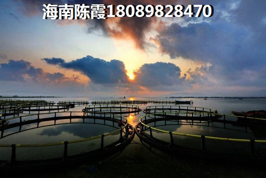 临高XG吗二