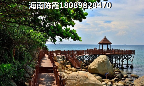 临高—《临高御澜湾》养老配套分析