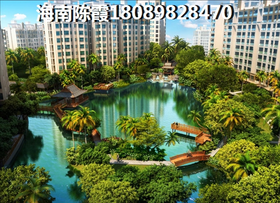将来海南临高的房价会跌吗