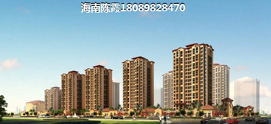 你是我的cocoelva什么意思