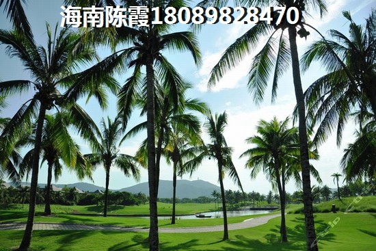 落叶纷飞是什么歌的歌词