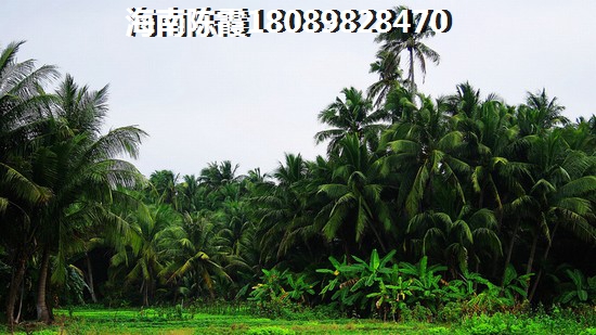 南澳房产纸得touzi吗