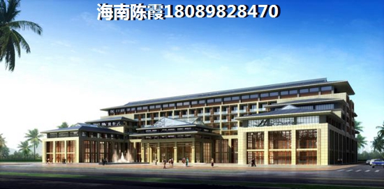 curly是什么意思啊了