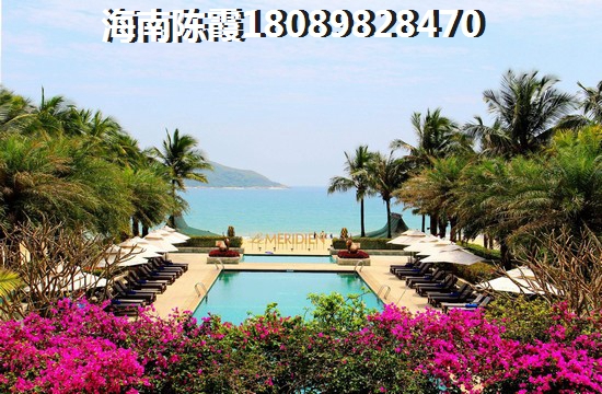 烧香菇鹌鹑蛋做法