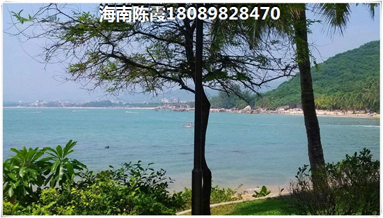 凤山县开店藏红花加盟项目2025哪些比较可靠