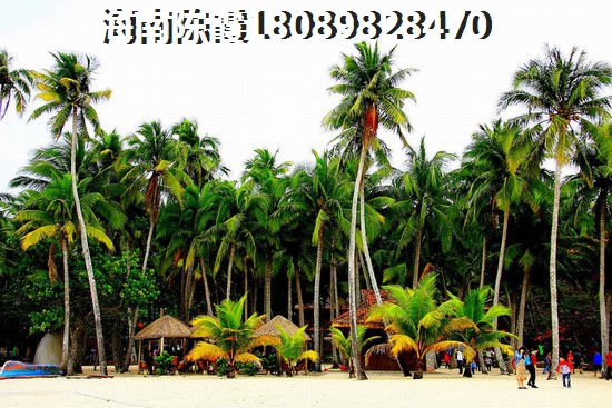 广东别墅多少钱一个平方，广东别墅比较便宜的楼盘是那里？