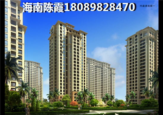 公司用车名称怎么取名